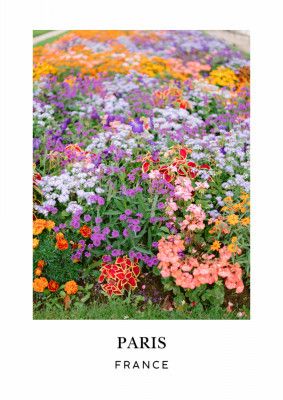 Paris Floral Travel poster