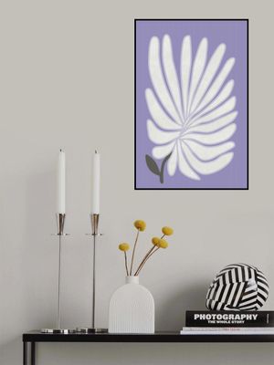 White Chrysanthemum Flower