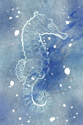 Seahorse Dreamscape