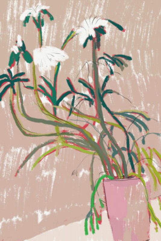 Floral Arrangement In A Pink Vase