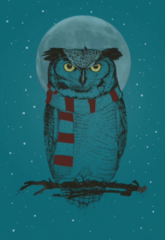 Winter owl