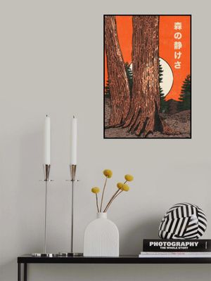 The Calm of the Forest