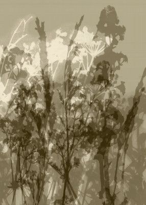 Misty Meadow. Abstract Botanical Art No.1