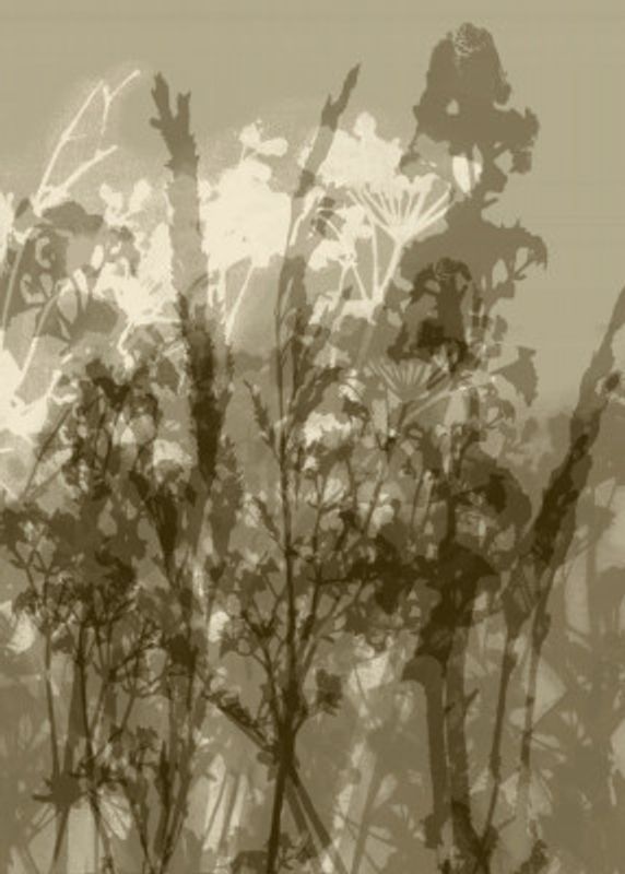 Misty Meadow. Abstract Botanical Art No.1