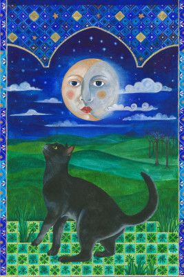 The Cat and the Moon