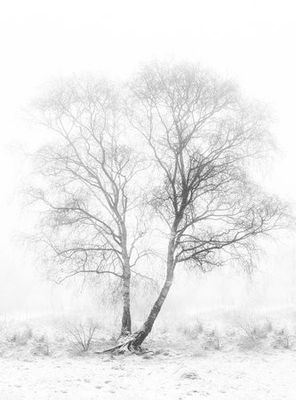 Early in the morning