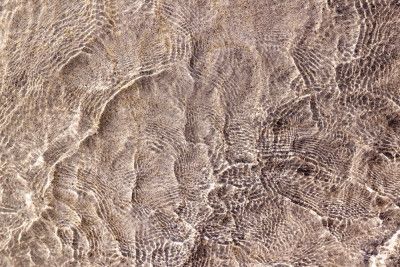 Water and Reflections