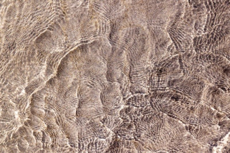 Water and Reflections