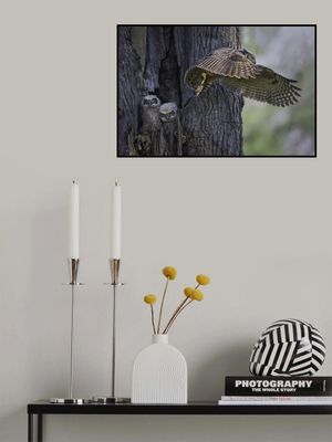 My babies are hangry