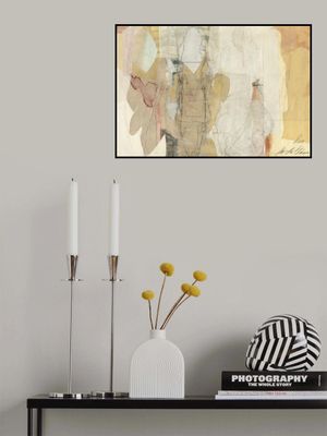 Transparent Silhouettes