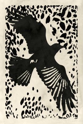 Ascent Through Shadows