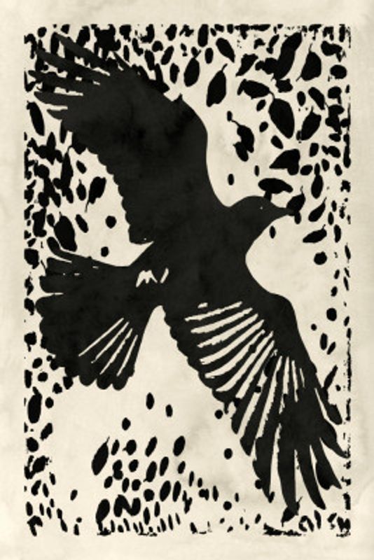 Ascent Through Shadows