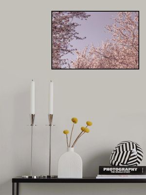 Soft Pink Blossoms