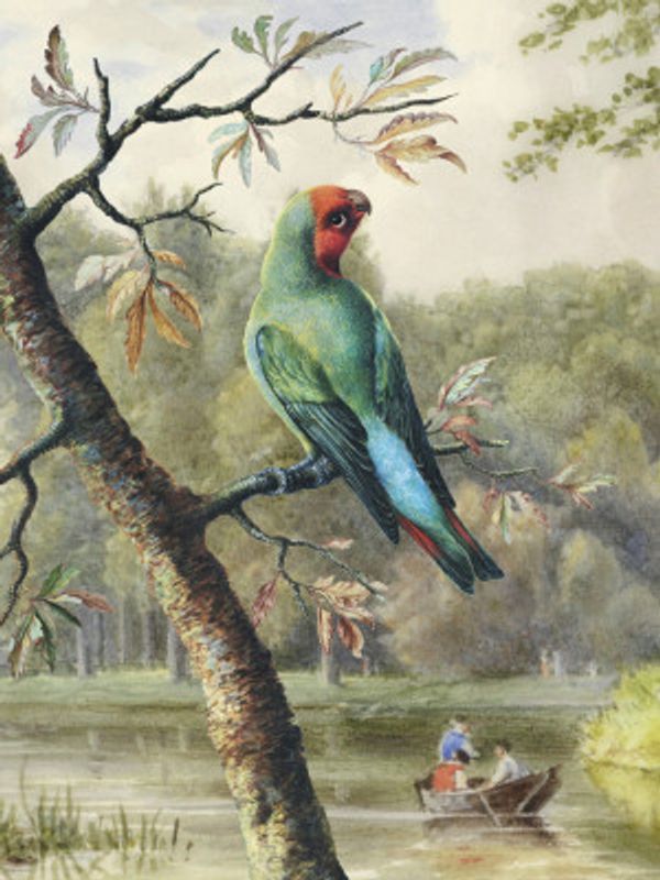 Afternoon In the Park