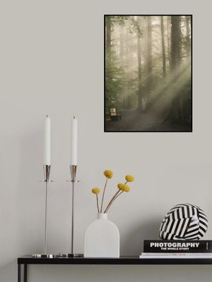 Komorebi　木漏れ日