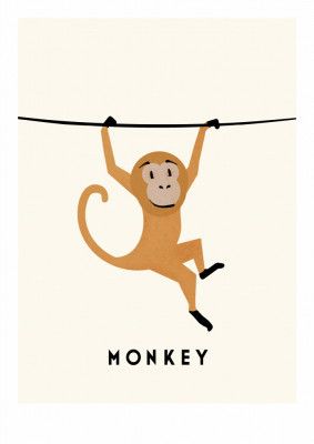 Monkey