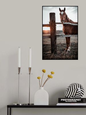 Horse Farm in Skároš, Slovakia