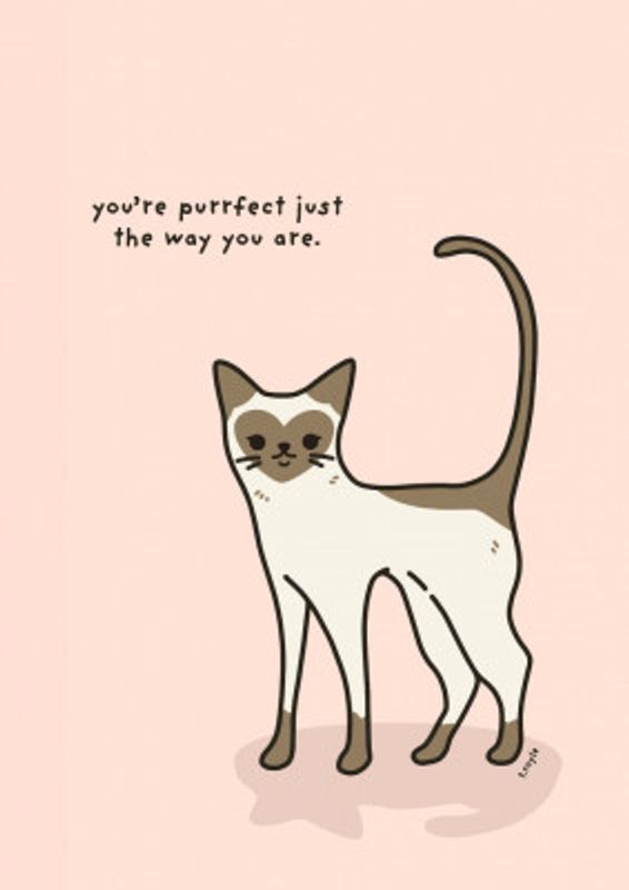You're purrfect just the way you are