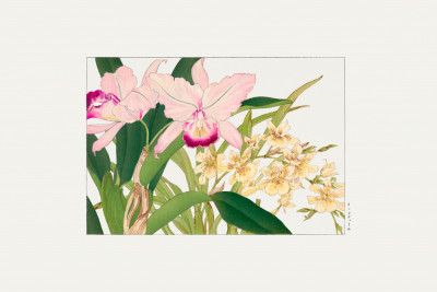 Oncidium Woodblock Painting