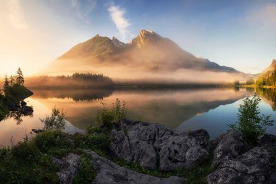 Golden Summer Morning in the Alps