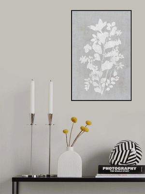 Botanical Illustration 2