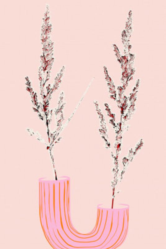 Plant based happyness Grasses 1 still life