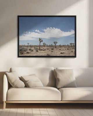 Beauty Of A Desert Landscape