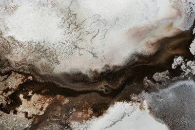 Rustic Abstract - Sepia Serendipity