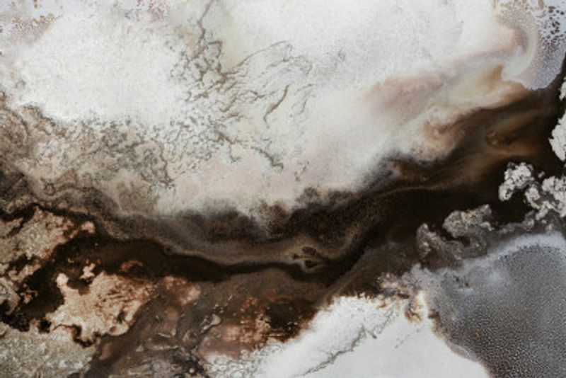 Rustic Abstract - Sepia Serendipity