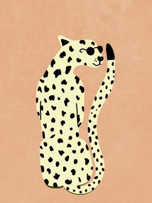 Cool Cheetah