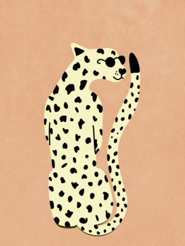 Cool Cheetah