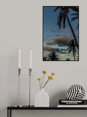 Serene Tropical Sunset With Majestic Palm Trees