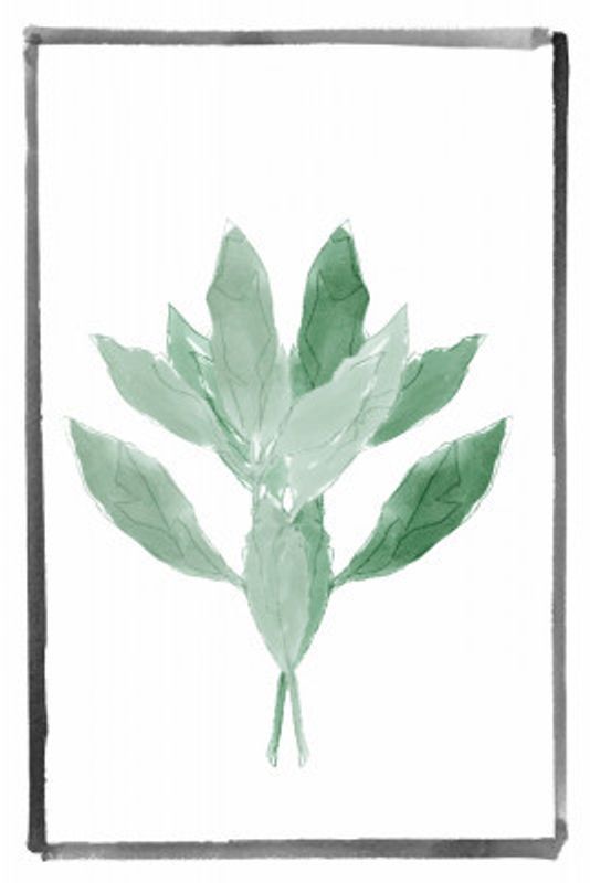 Simple Botanical