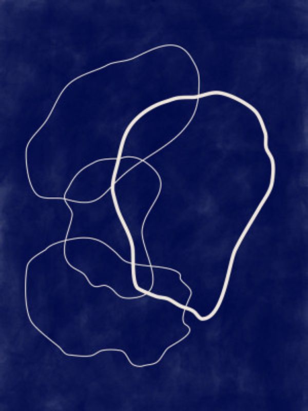 Minimalist Design with Organic Shapes