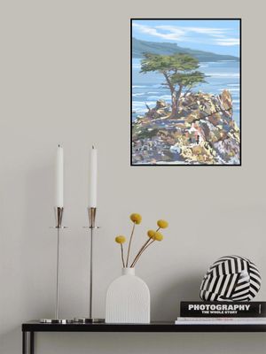 Quiet Sentinel, 17 Mile Drive, California