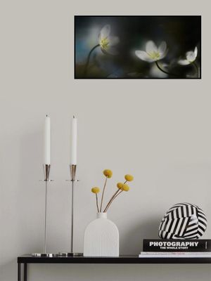 Light in the darkness