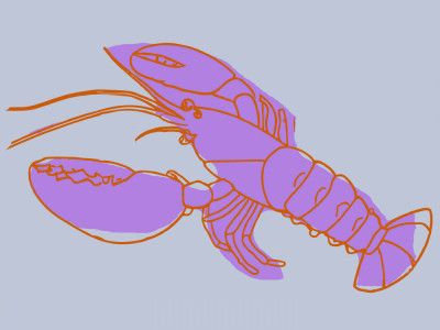 Vivid Lobster Lines