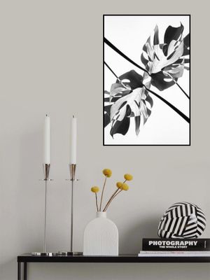 Monstera Kaleidoscope 03