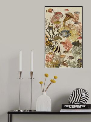 coral reef deep silence antique white