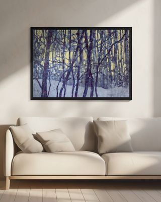 Winter's Silent Glow