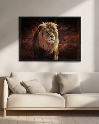 HIS MAJESTY, THE KING