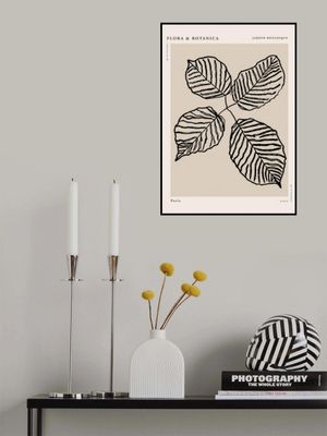 Florabotanicalineno07