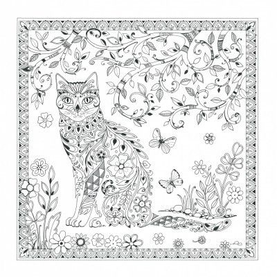 Cat  and Butterflies