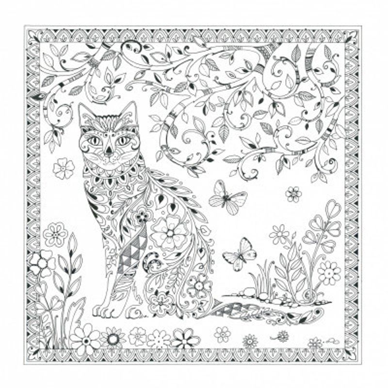 Cat  and Butterflies