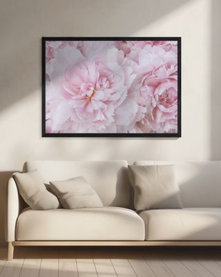 Pink Peony Blossom
