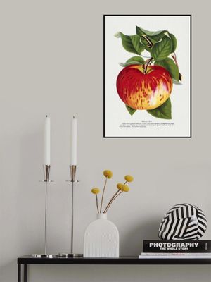 Wealthy Apple Lithograph