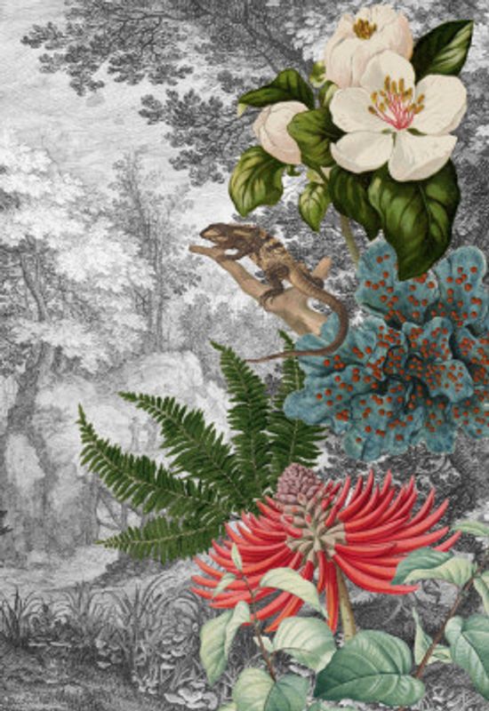 There's an Iguana In the Forest