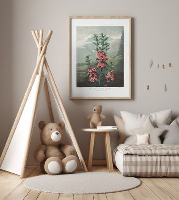 The Narrow–Leaved Kalmia from The Temple of Flora (1807)