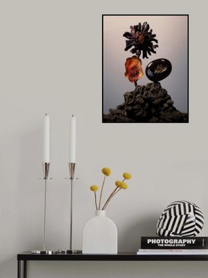 Still Life Flowers No1