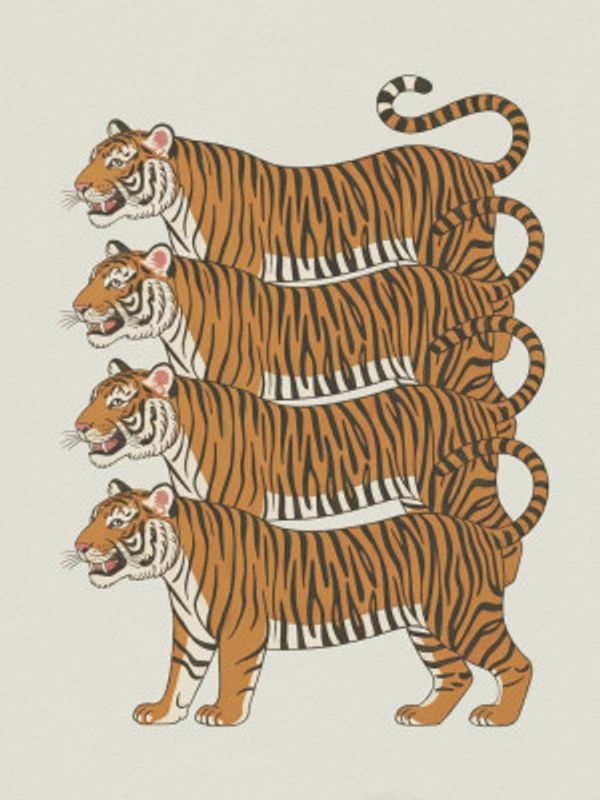 Four Tigers